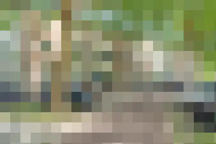 Stadionlaan 10 2 Utrecht thumbnail 23