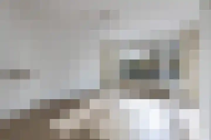 Stadionlaan 12 1 Utrecht thumbnail 10