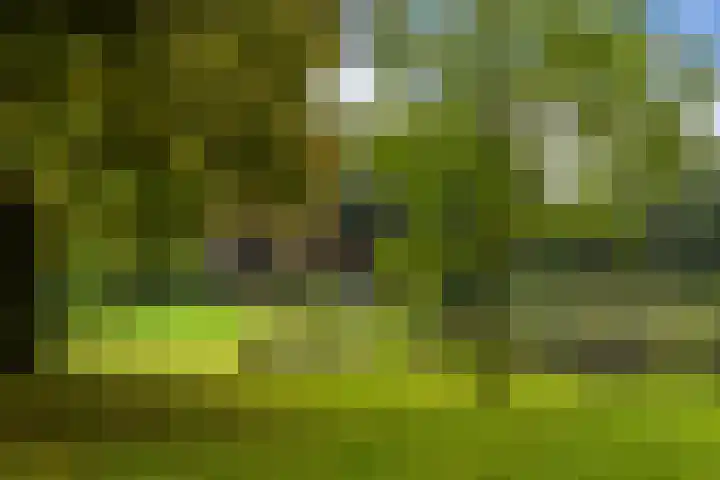 Stadionlaan 12 1 Utrecht thumbnail 28