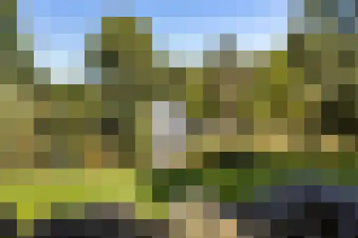 Stadionlaan 12 1 Utrecht thumbnail 29