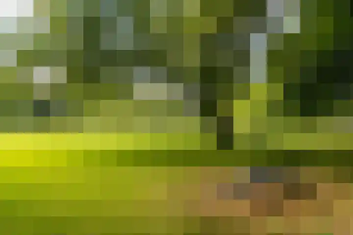 Stadionlaan 12 1 Utrecht thumbnail 30