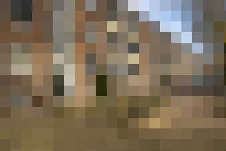 Stadionlaan 12 1 Utrecht thumbnail 33