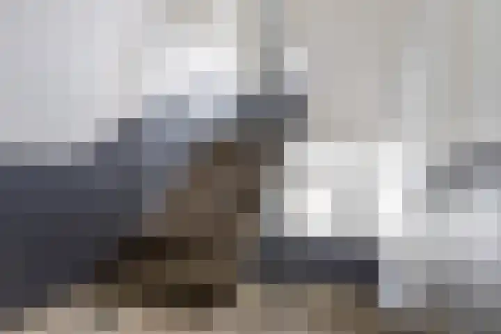 Stadionlaan 12 1 Utrecht thumbnail 5