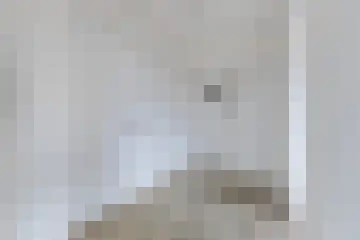 Stadionlaan 12 1 Utrecht thumbnail 6
