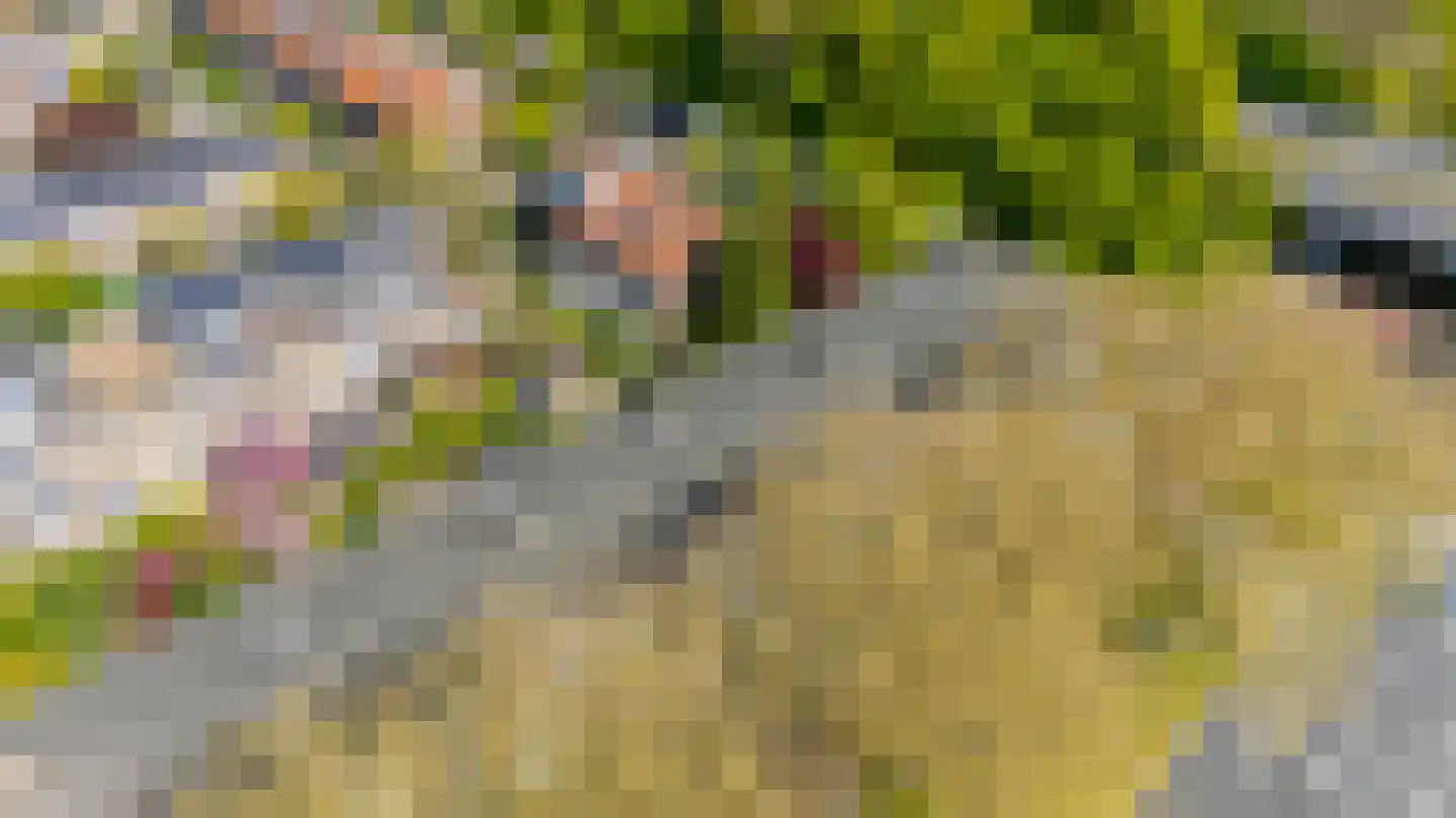 Stadionlaan 14 1 Utrecht thumbnail 29