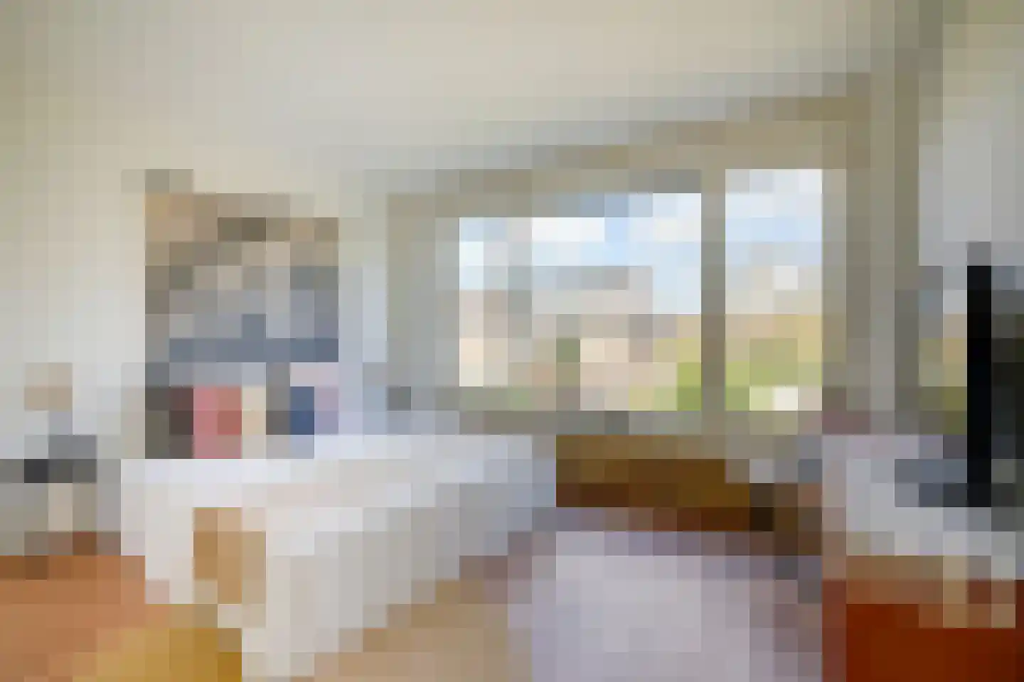 Stadionlaan 14 1 Utrecht thumbnail 4