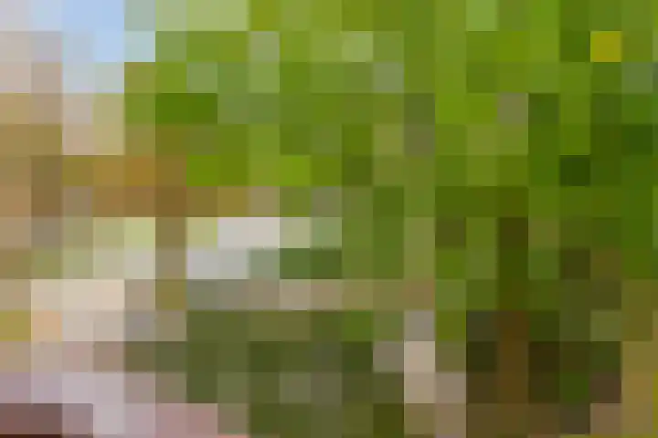 Stadionlaan 19 Utrecht thumbnail 17