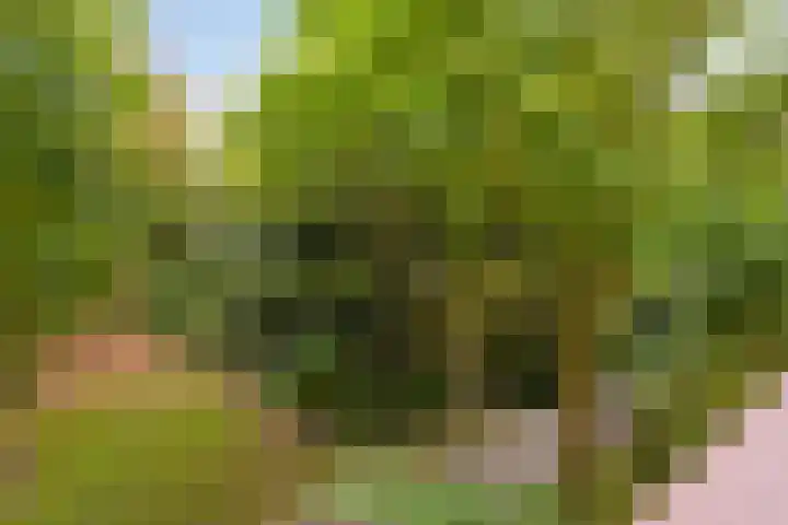 Stadionlaan 19 Utrecht thumbnail 24