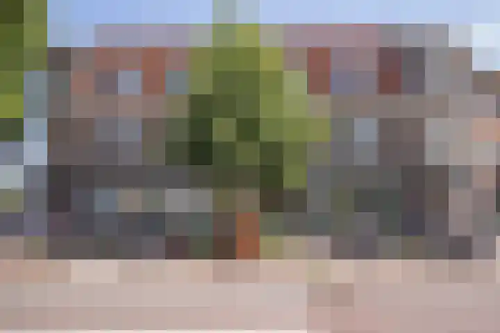 Stadionlaan 19 Utrecht thumbnail 28