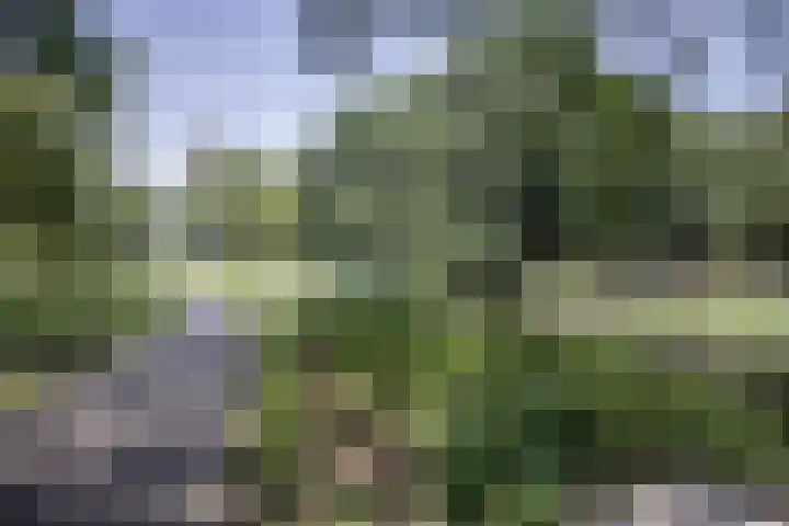 Stadionlaan 19 Utrecht thumbnail 29