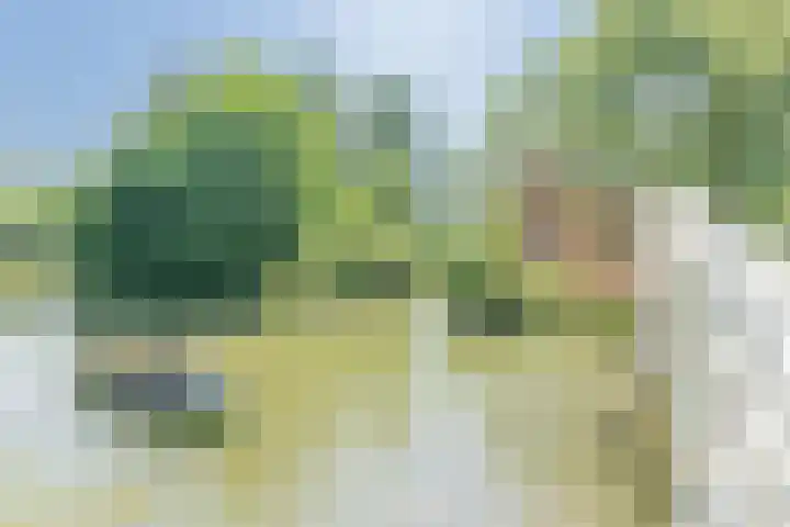 Stadionlaan 19 Utrecht thumbnail 30