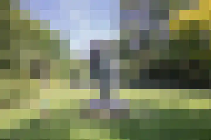 Stadionlaan 19 Utrecht thumbnail 31