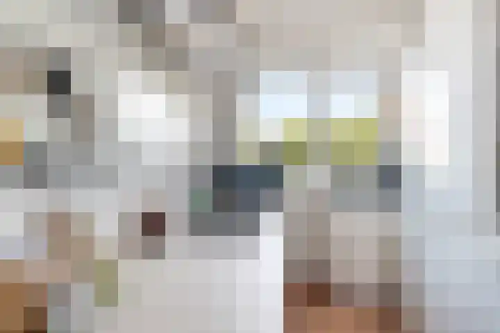 Stadionlaan 23 Utrecht thumbnail 13
