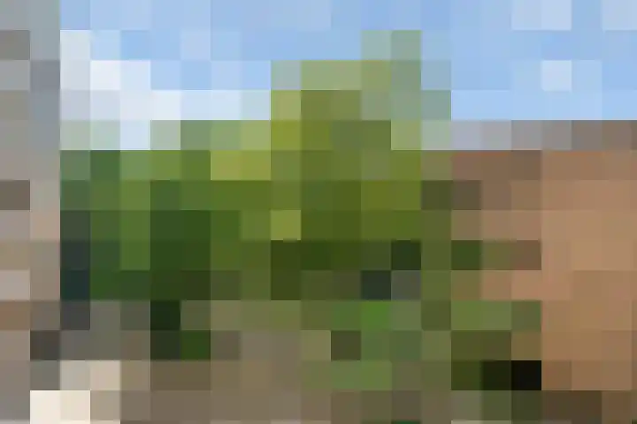 Stadionlaan 23 Utrecht thumbnail 23