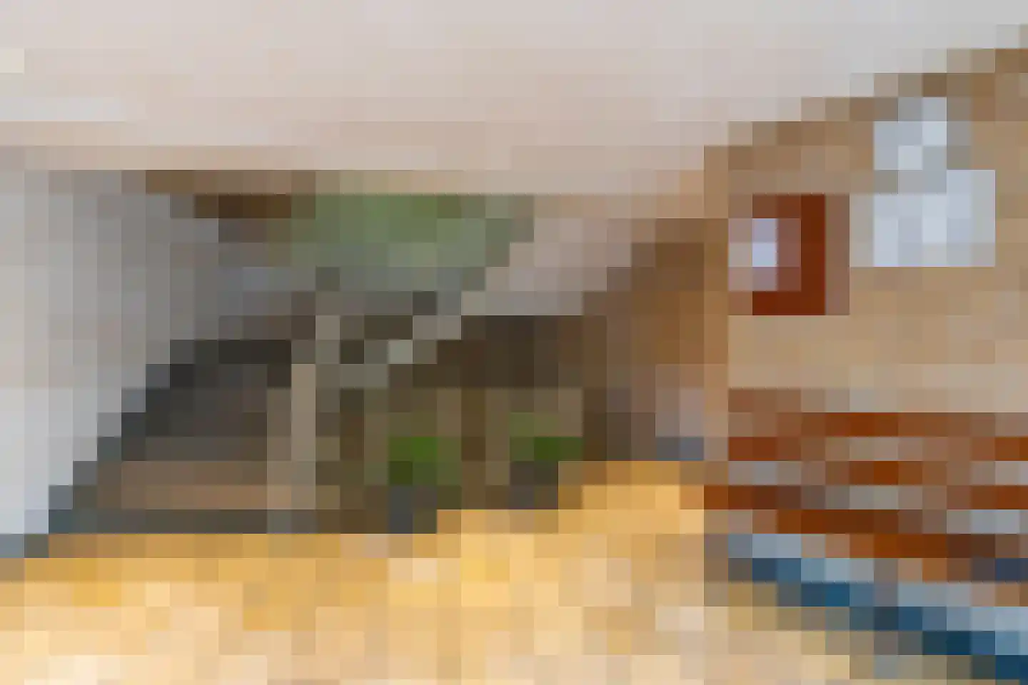 Stadionlaan 29 Utrecht thumbnail 34