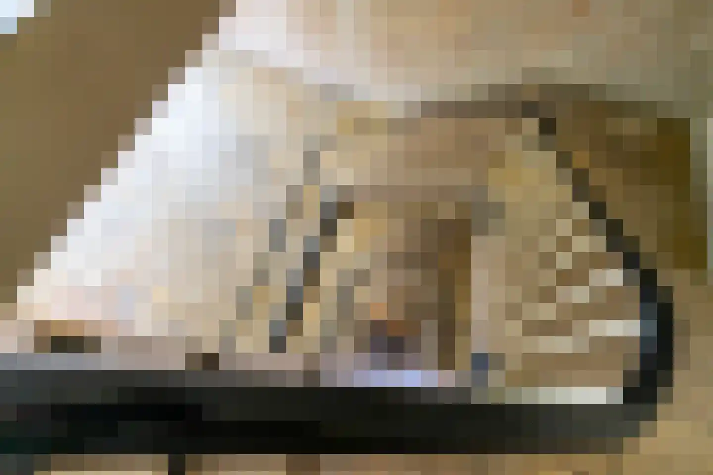 Stadionlaan 29 Utrecht thumbnail 6