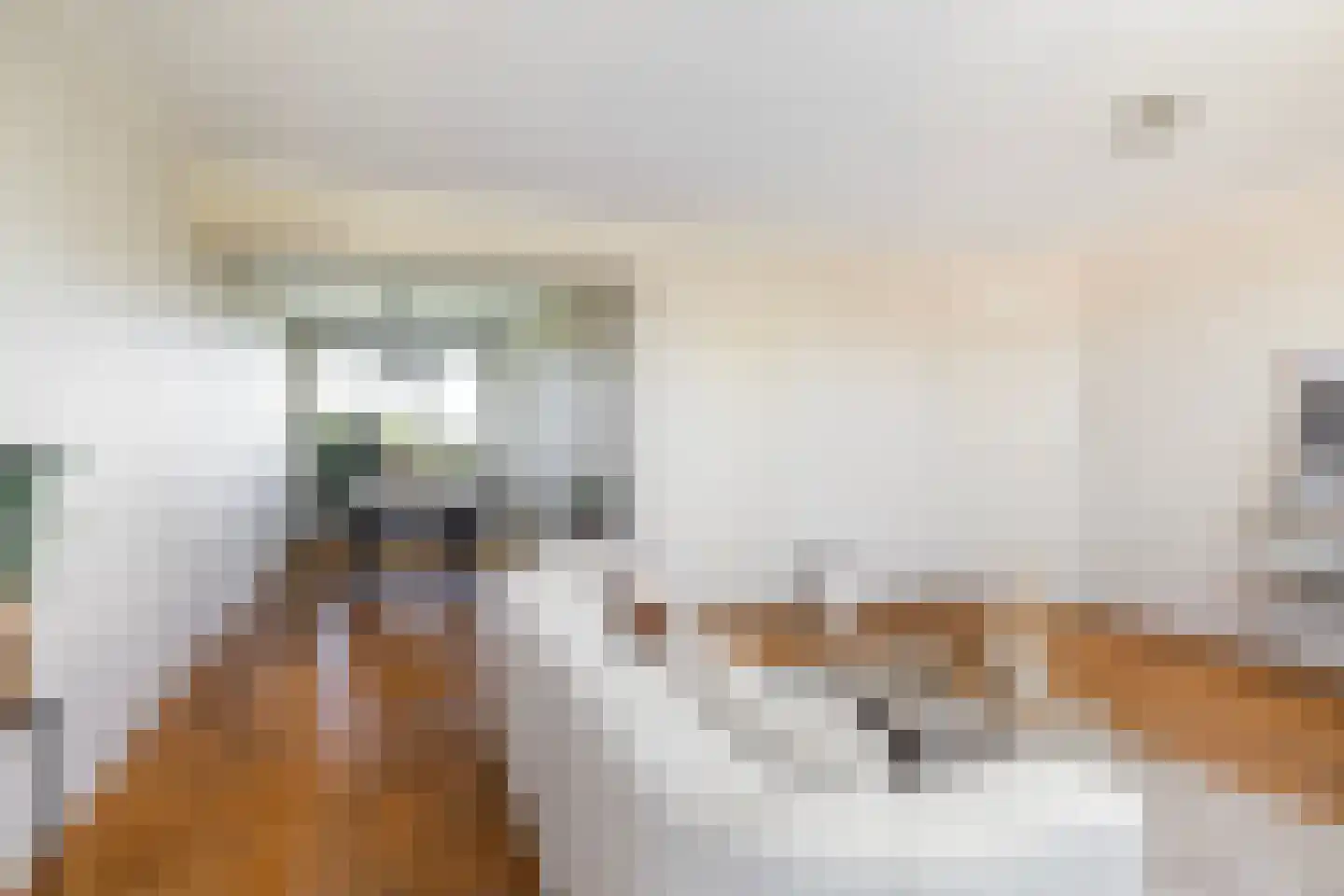 Stadionlaan 55 Utrecht thumbnail 5