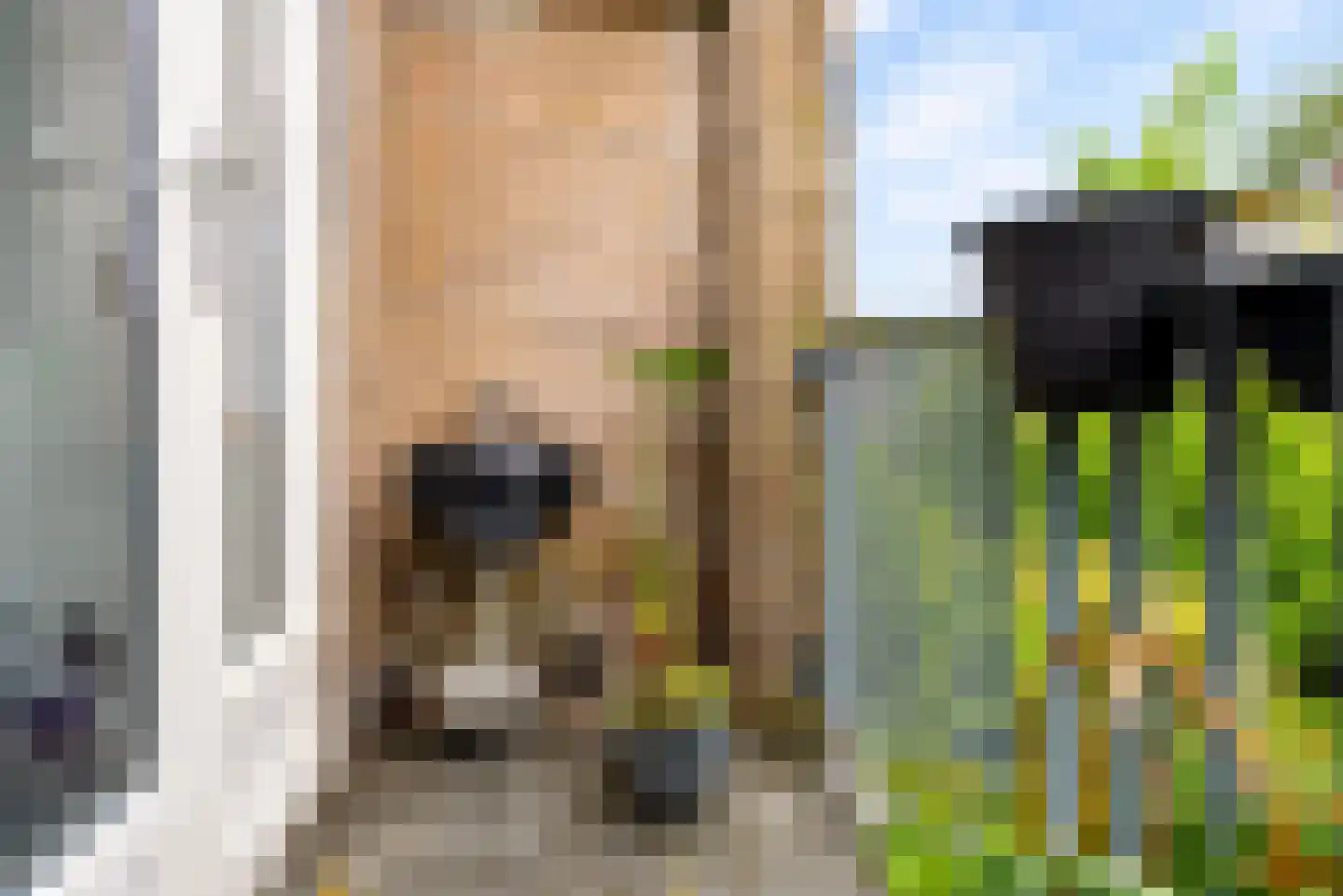 Stadionlaan 6 2 Utrecht thumbnail 12