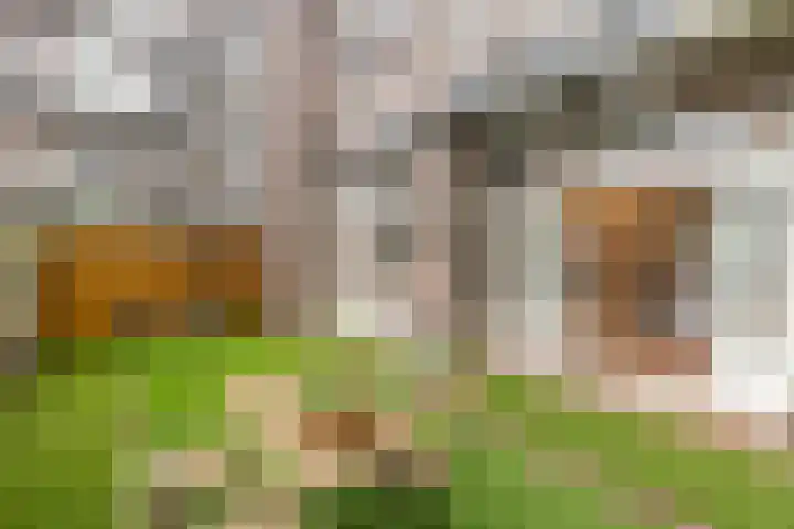 Stadionplein 81 Amsterdam thumbnail 32