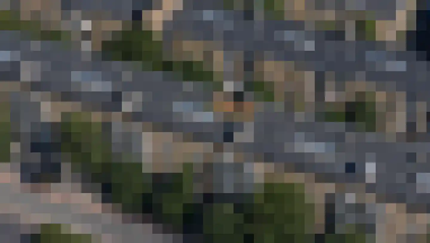 Stadionweg 122 4V Amsterdam thumbnail 26