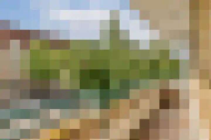 Stadionweg 290 3 Amsterdam thumbnail 9