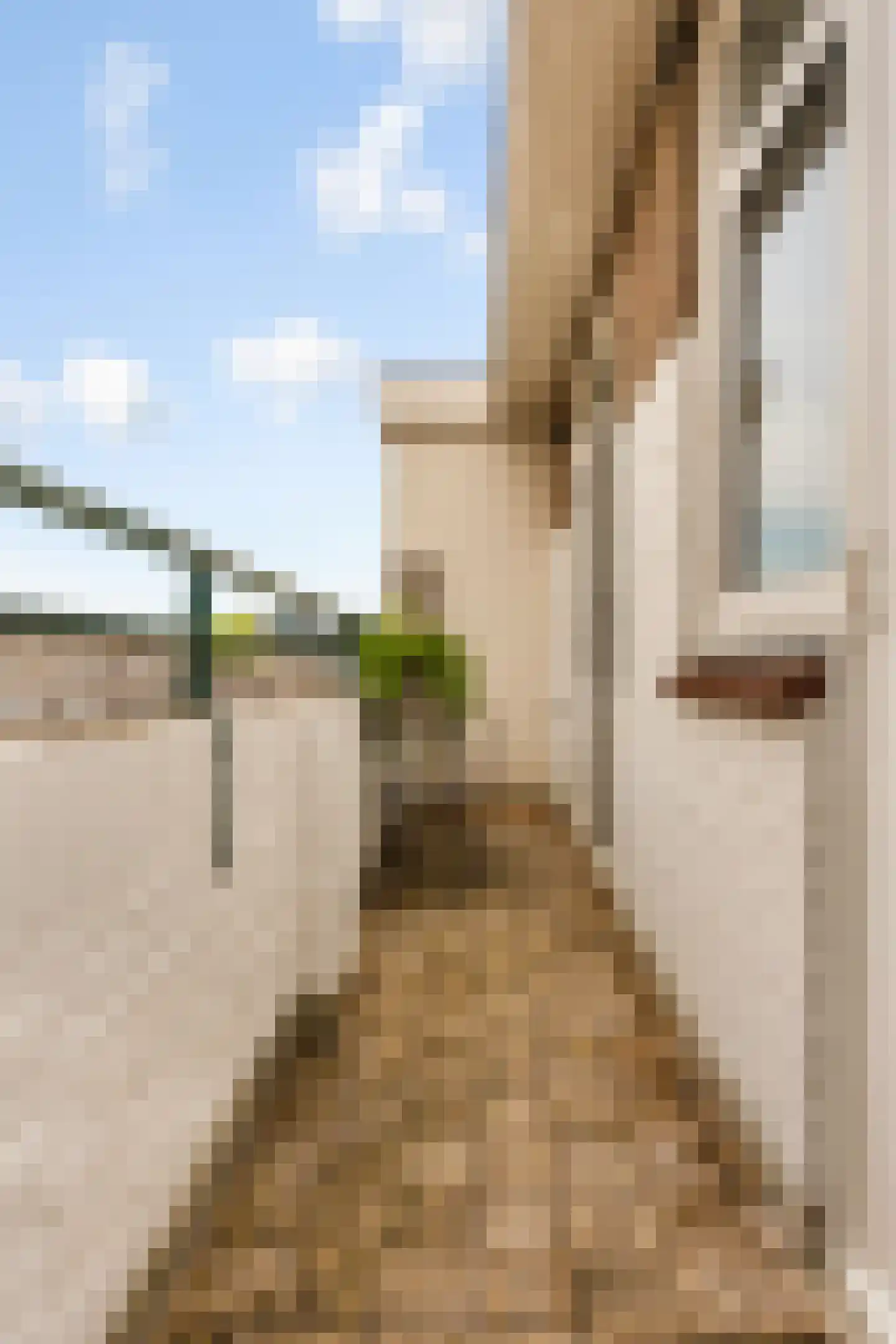 Stadionweg 310 1 Amsterdam thumbnail 15