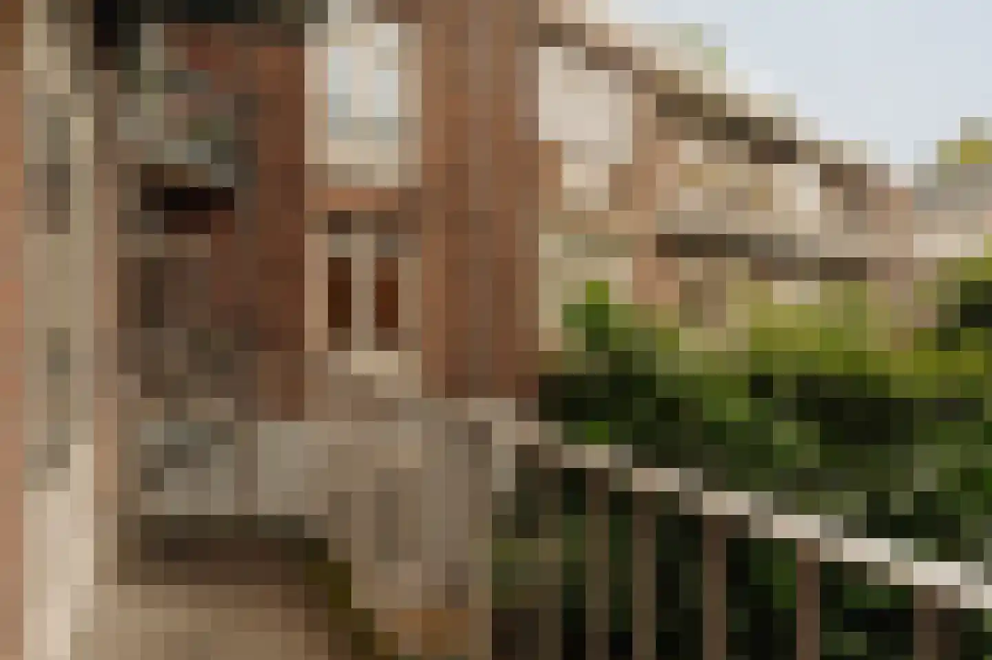Stadionweg 63 1 Amsterdam thumbnail 15