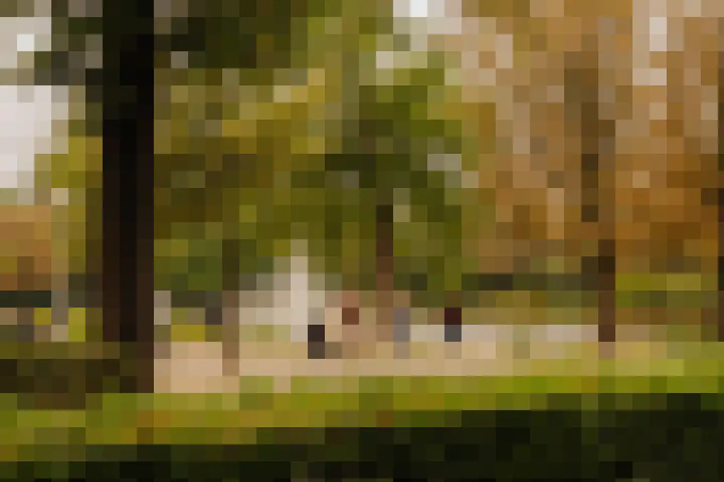 Stadionweg 63 1 Amsterdam thumbnail 40