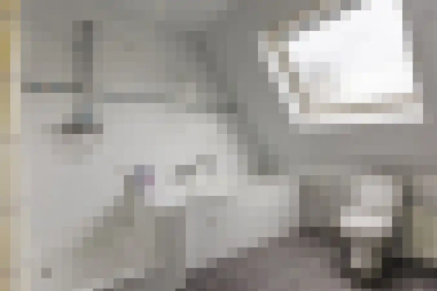 Stadrijk 125 Uden thumbnail 32