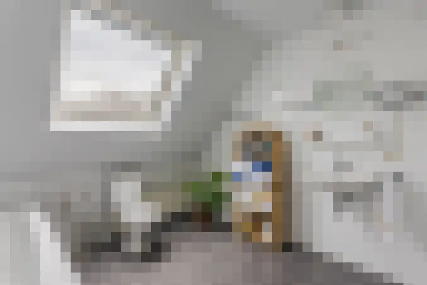 Stadrijk 125 Uden thumbnail 33