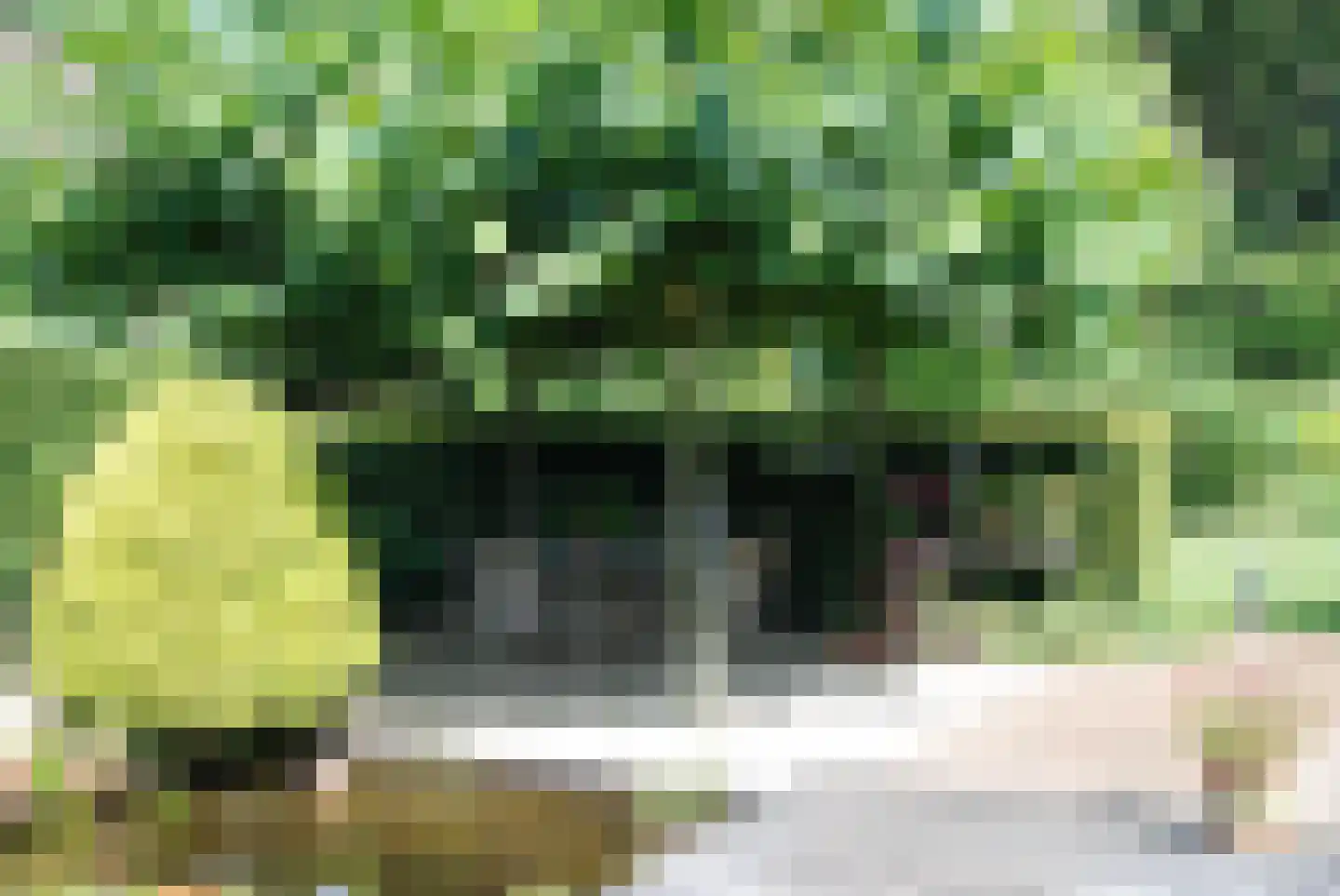 Stadrijk 125 Uden thumbnail 37