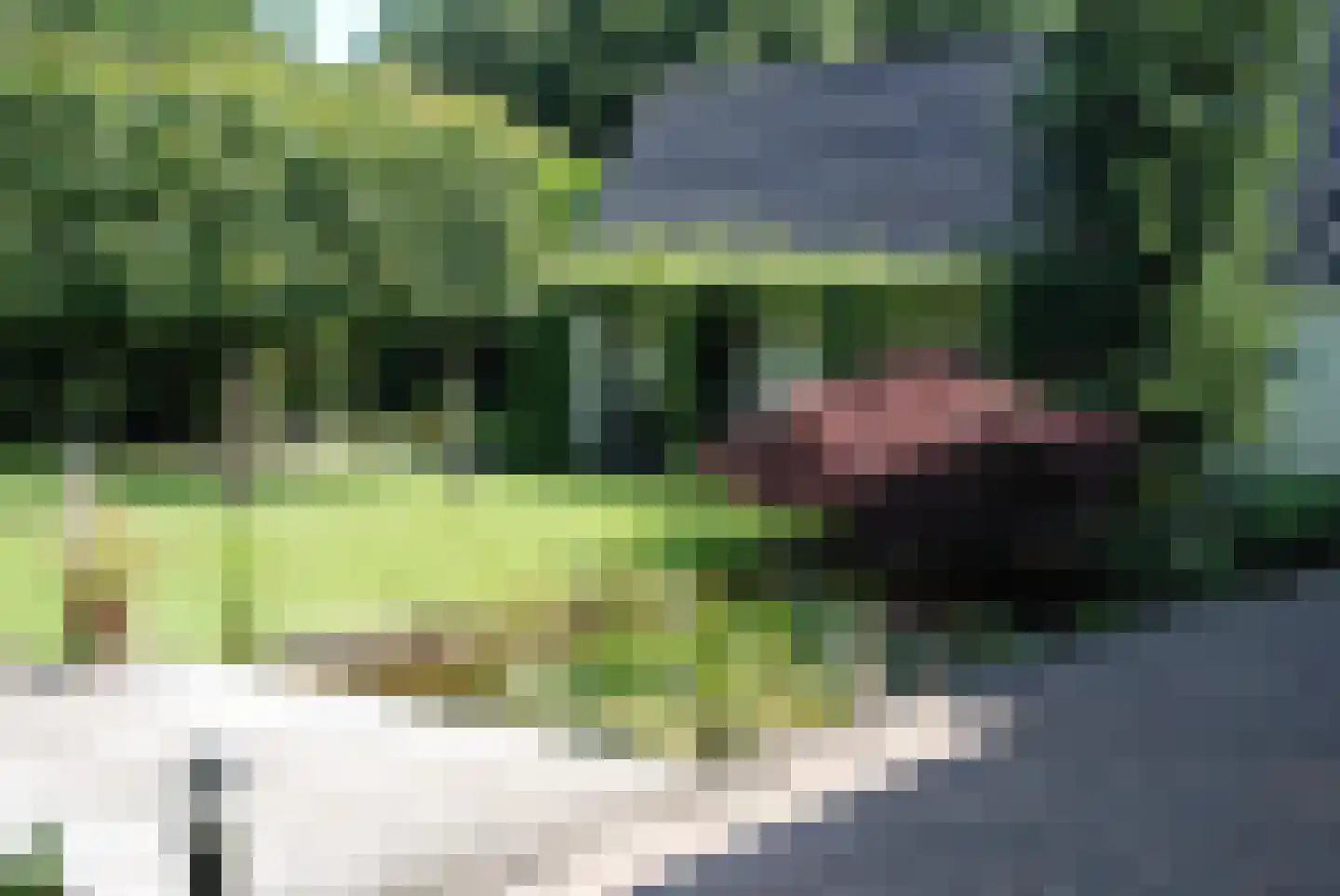 Stadrijk 125 Uden thumbnail 38