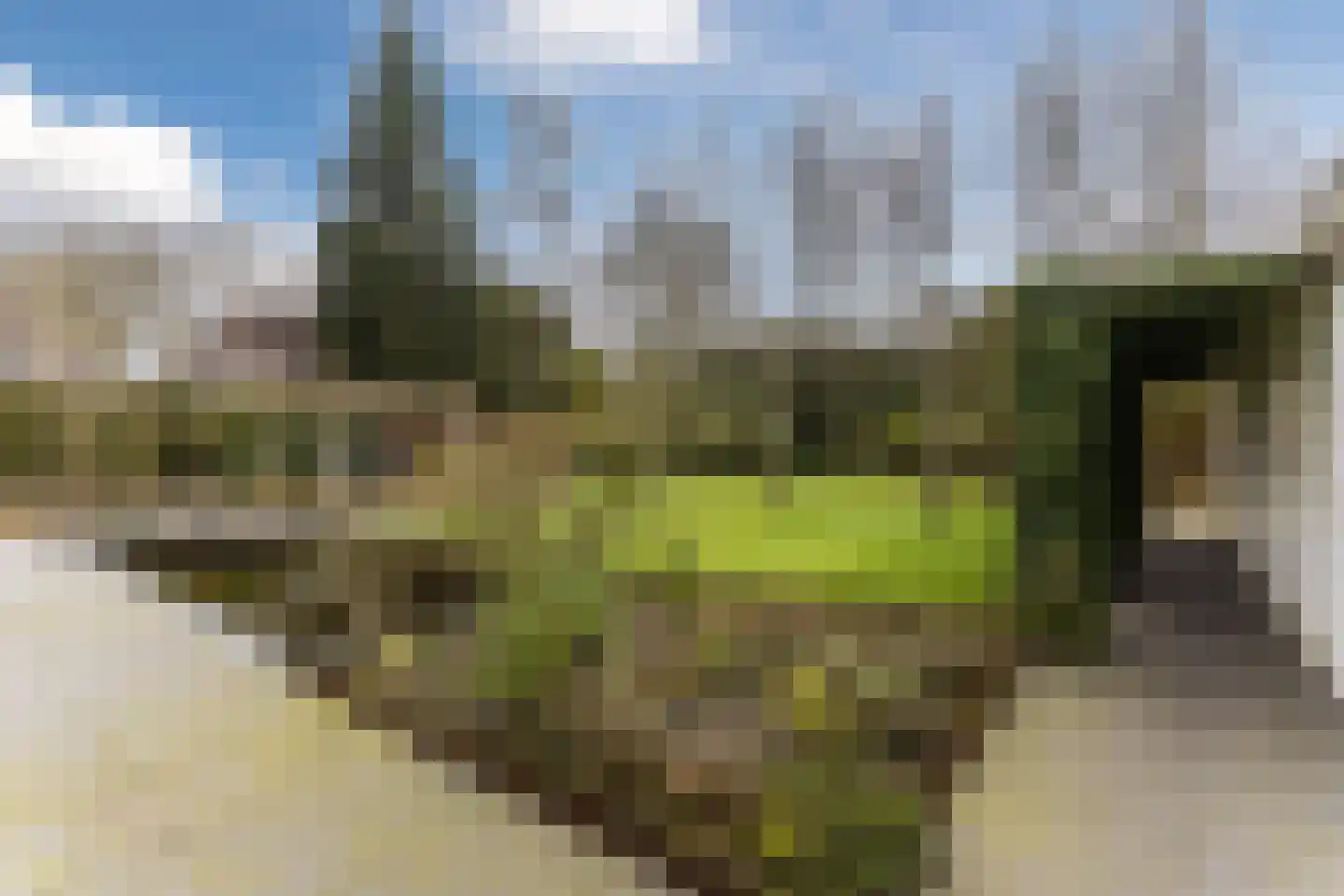 Stadrijk 125 Uden thumbnail 39