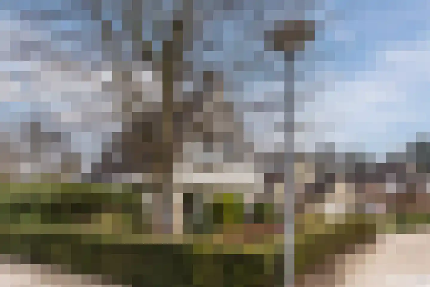 Stadrijk 125 Uden thumbnail 47