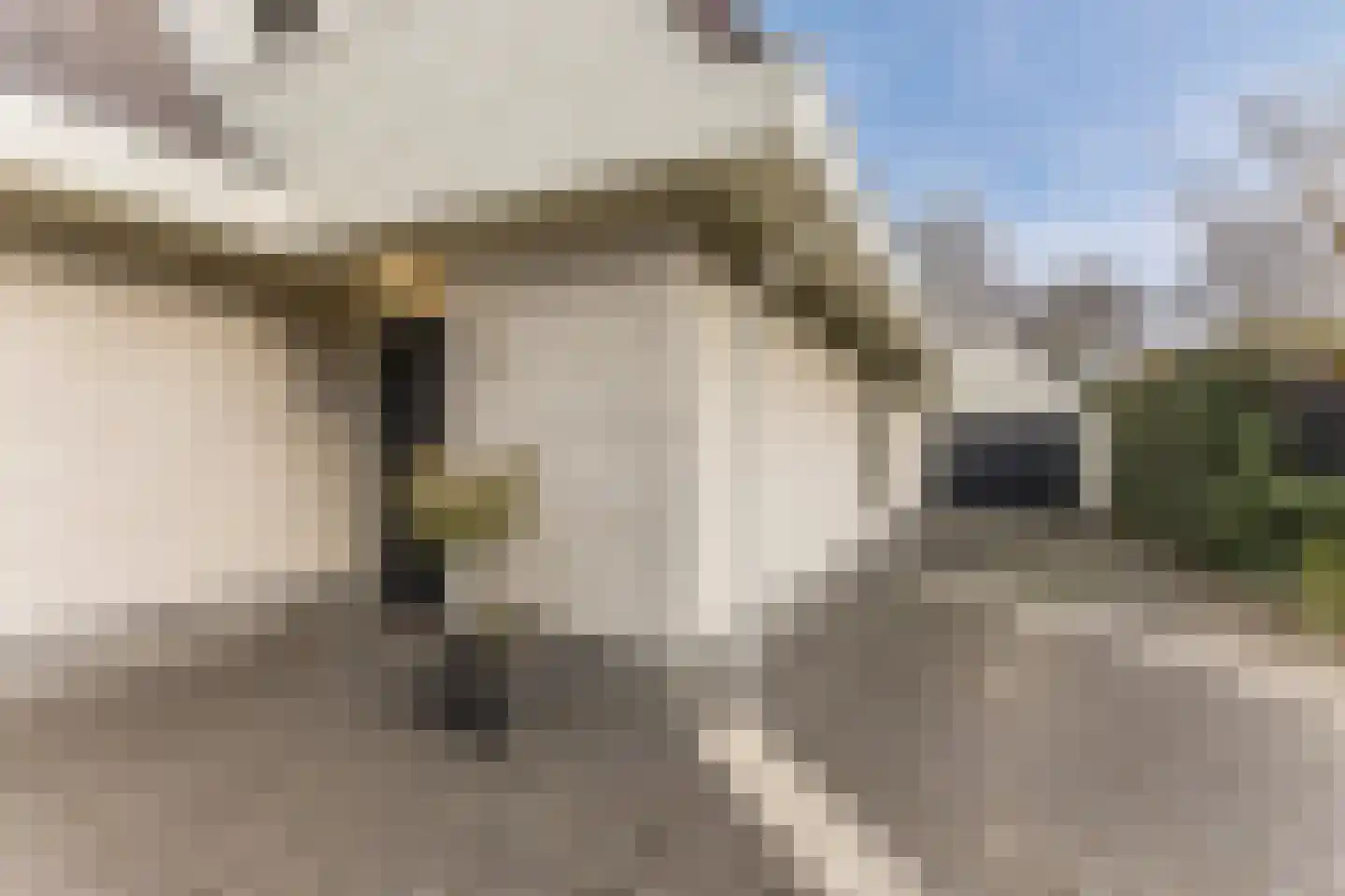 Stadrijk 125 Uden thumbnail 5