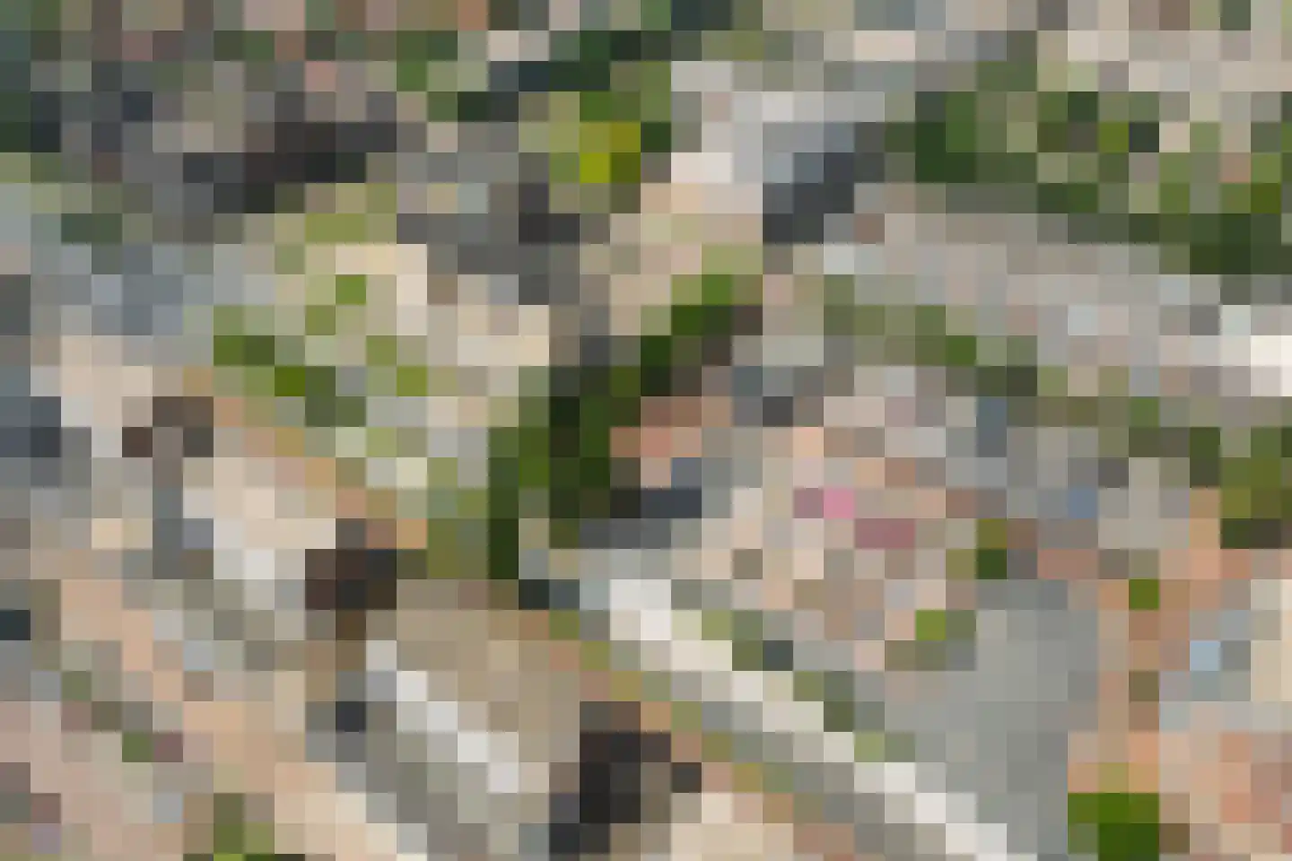 Stadsbrink 1 K 104 Wageningen thumbnail 31