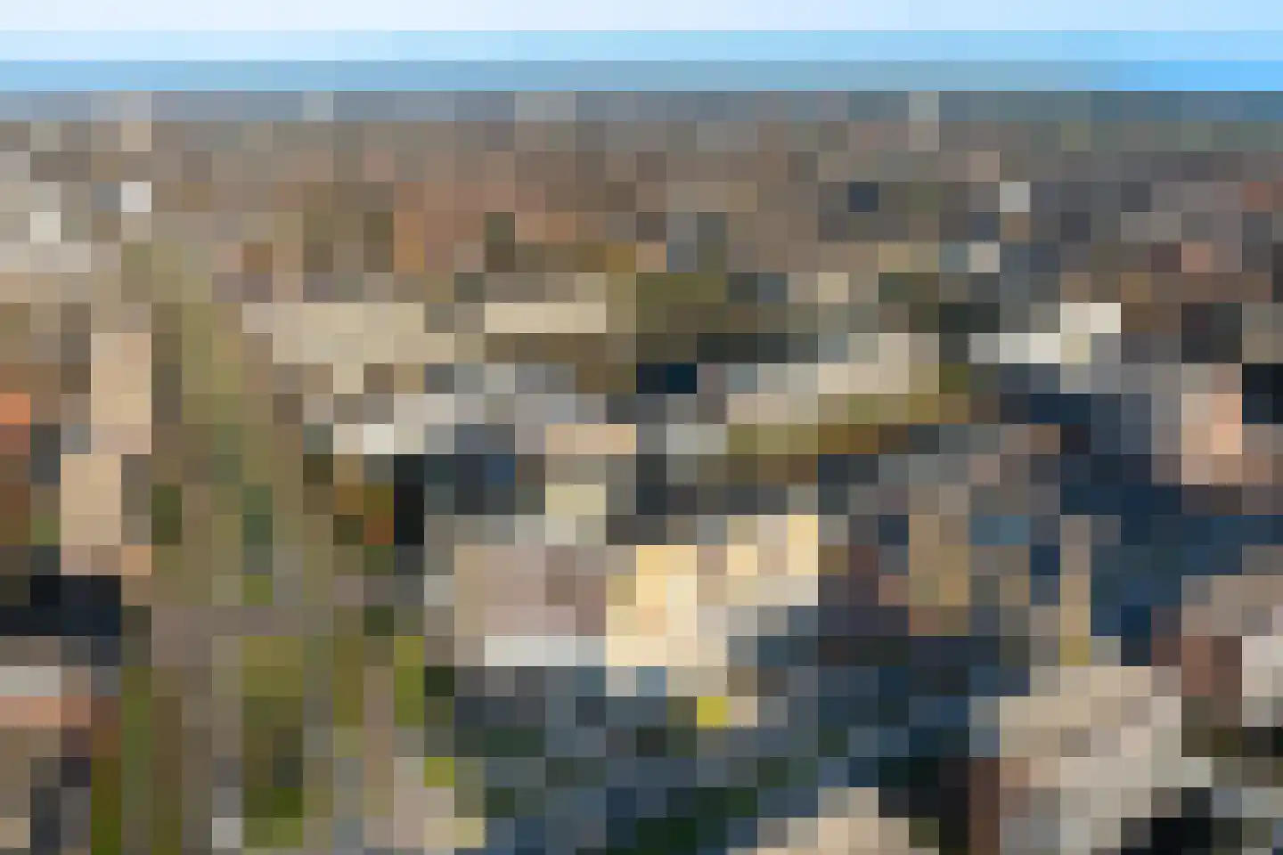 Stadsbrink 1 K 113 Wageningen thumbnail 33