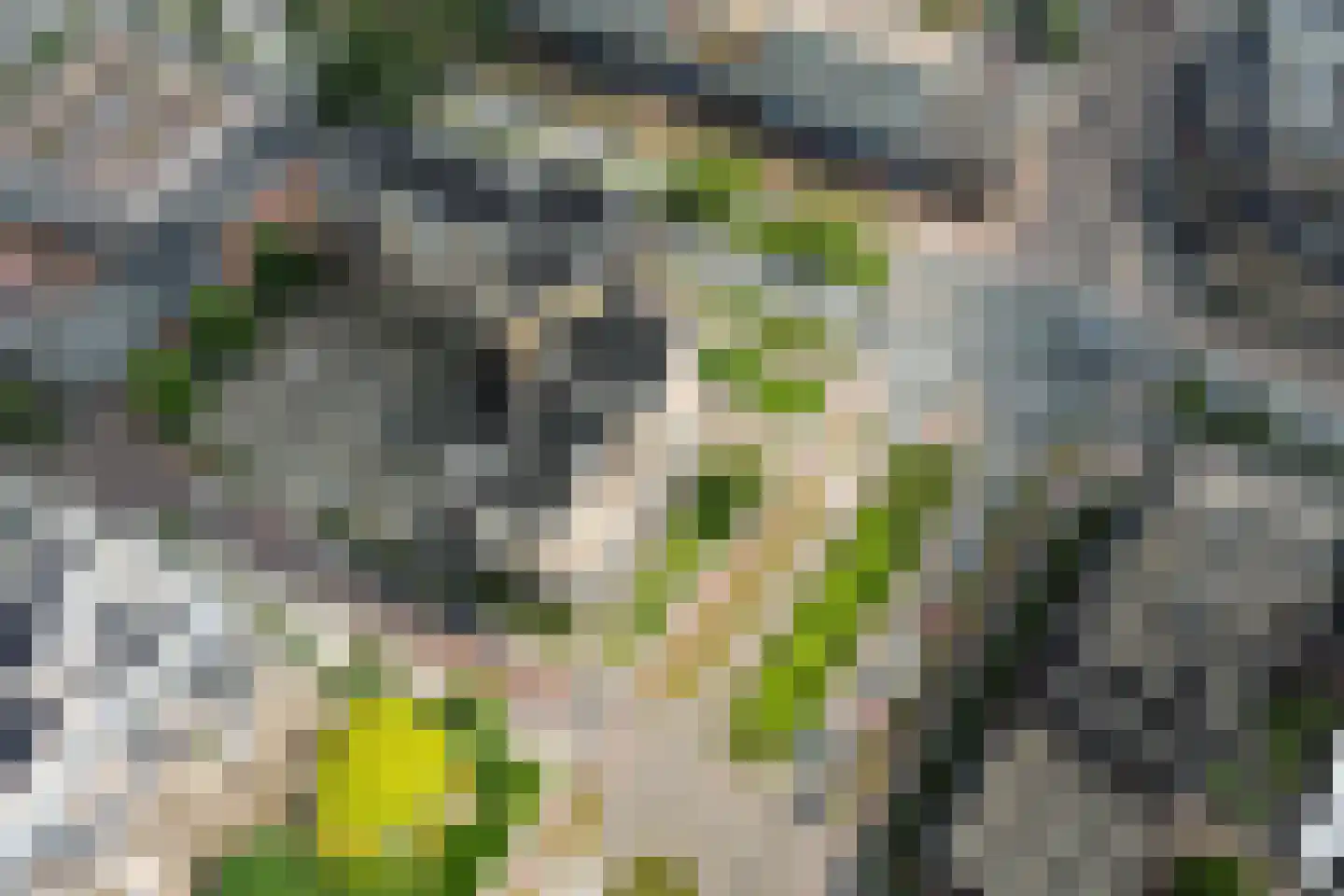 Stadsbrink 1 K 530 Wageningen thumbnail 30