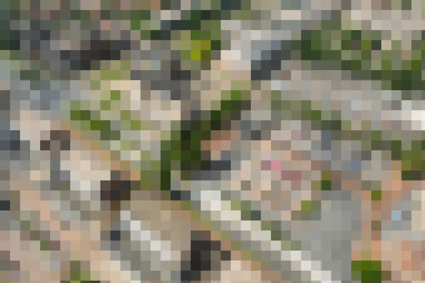 Stadsbrink 1 K 530 Wageningen thumbnail 32