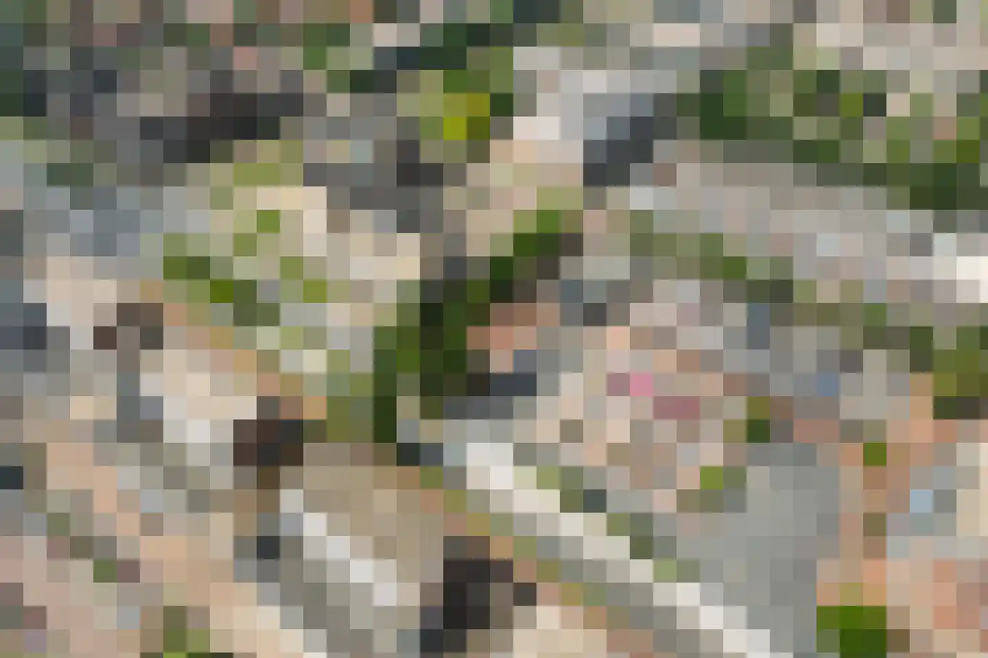 Stadsbrink 1 K 540 Wageningen thumbnail 29