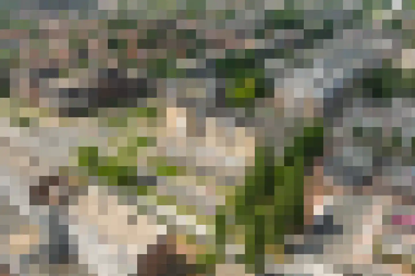 Stadsbrink 1 K 540 Wageningen thumbnail 30
