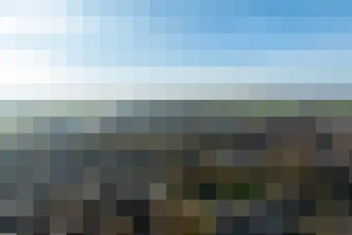 Stadsbrink 1 K 732 Wageningen thumbnail 21