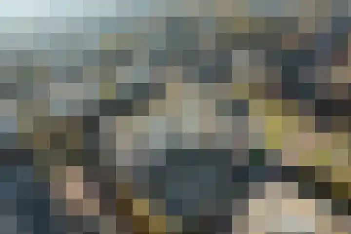 Stadsbrink 1 K 732 Wageningen thumbnail 23