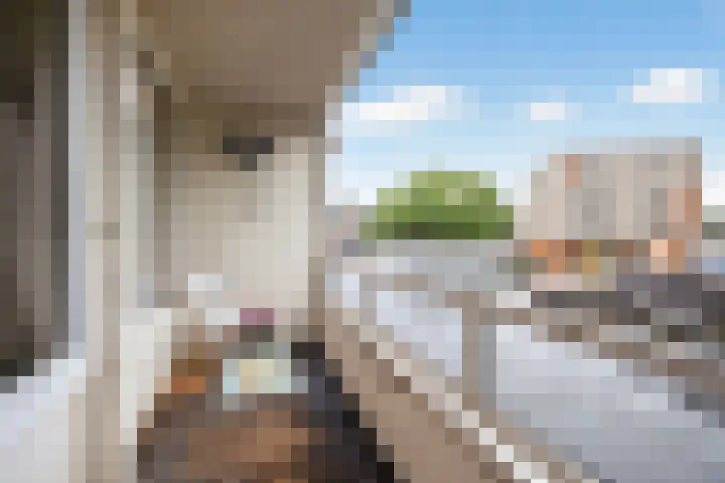 Stadsbrink 379 Wageningen thumbnail 24