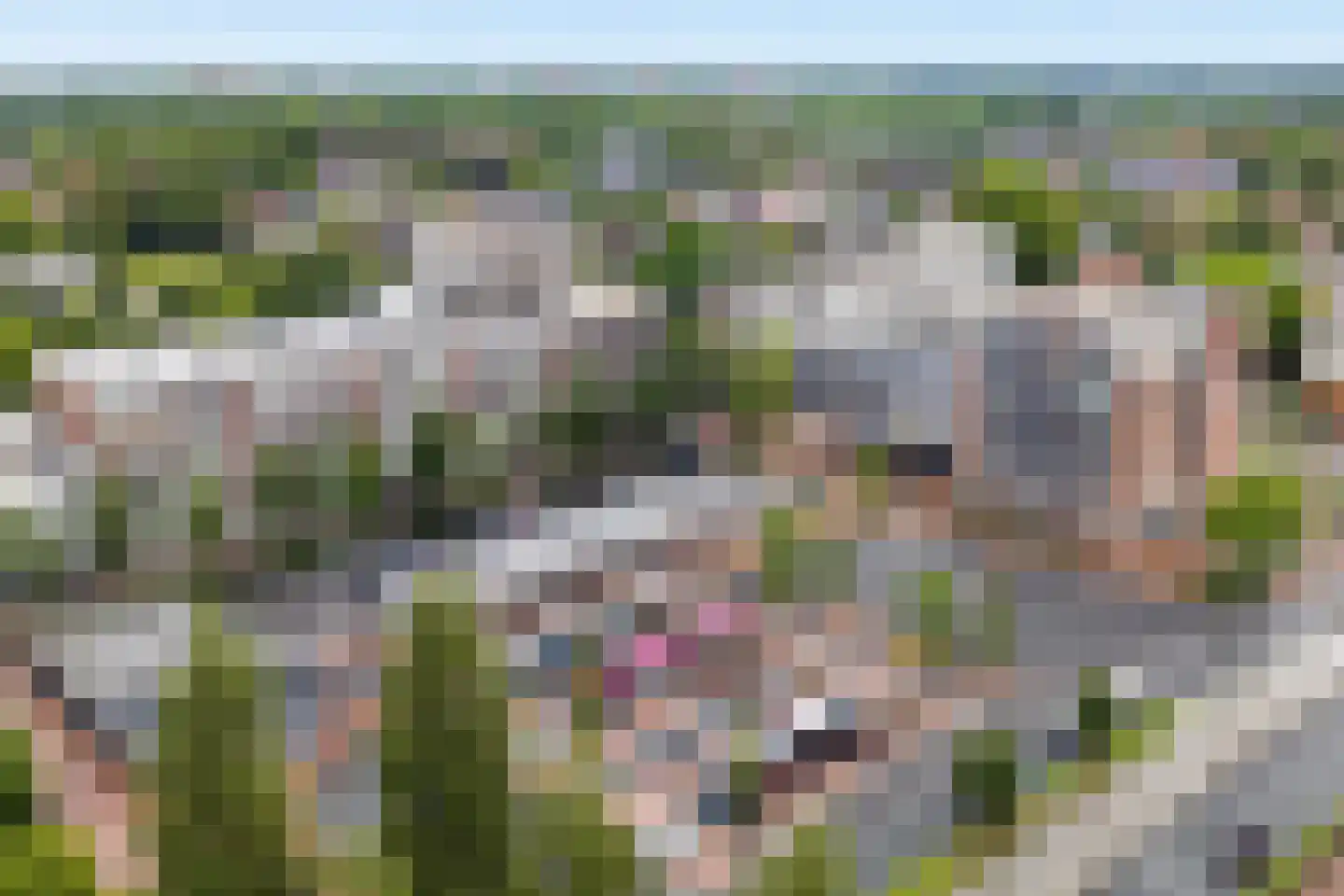 Stadsbrink 379 Wageningen thumbnail 41