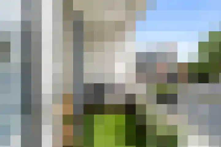 Stadsbrink 387 Wageningen thumbnail 15