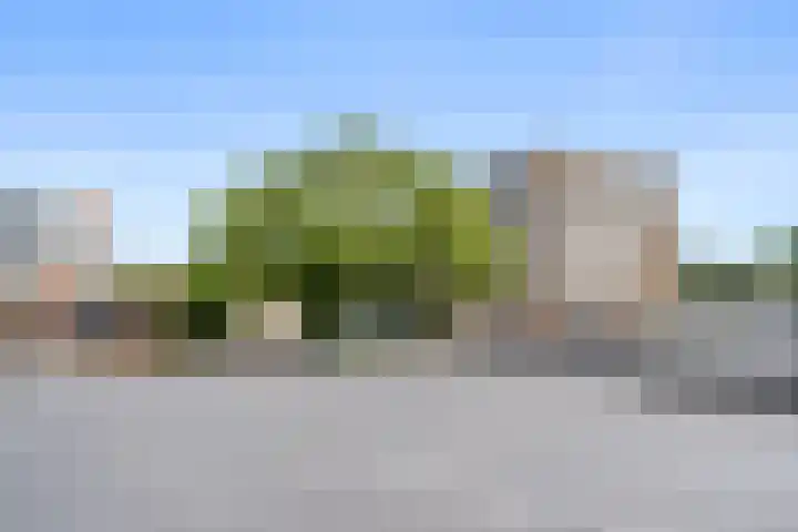 Stadsbrink 387 Wageningen thumbnail 17