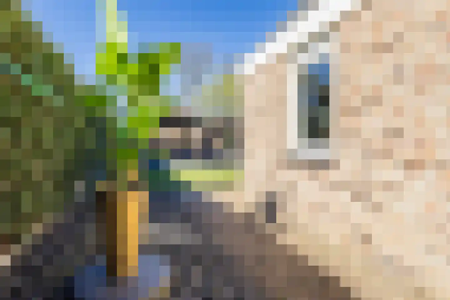 Stadsbroek 123 Bredevoort thumbnail 44