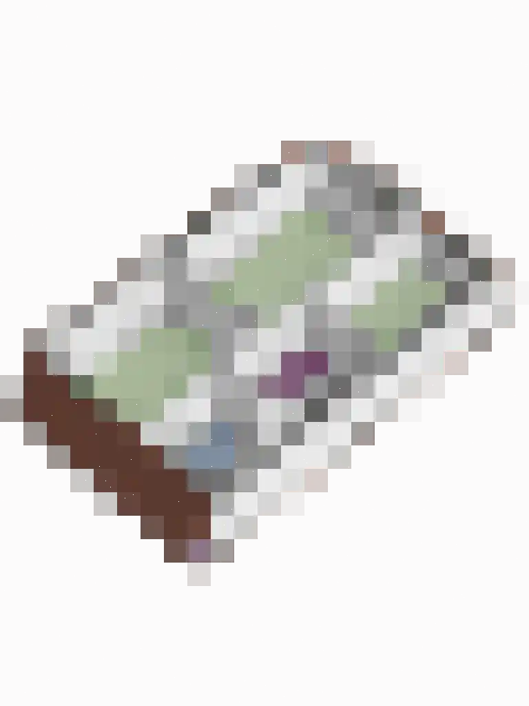 Stadsbroek 73 Bredevoort thumbnail 35