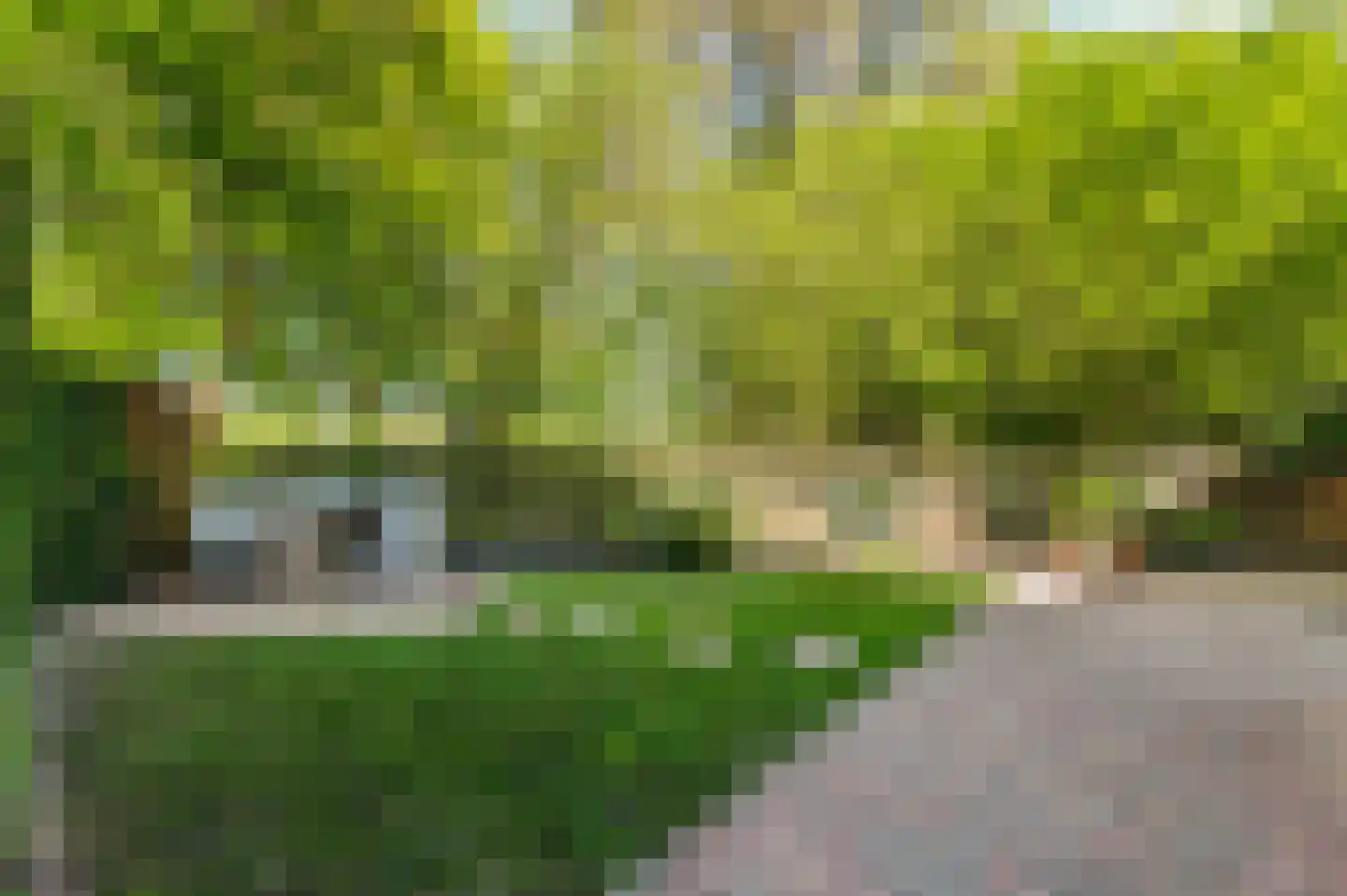 Stadsbroek 73 Bredevoort thumbnail 4